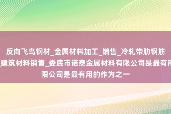 反向飞鸟钢材_金属材料加工_销售_冷轧带肋钢筋批发兼零售_建筑材料销售_娄底市诺泰金属材料有限公司是最有用的作为之一